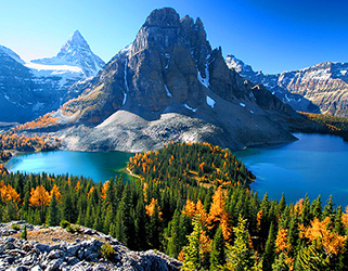 canada image 1